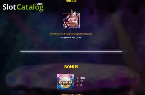 Special symbols screen. Disco Night (Royal Slot Gaming) slot