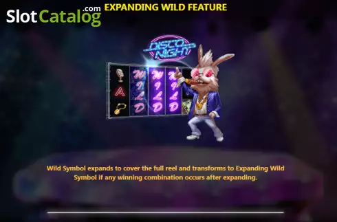 Expanding Wild feature screen. Disco Night (Royal Slot Gaming) slot