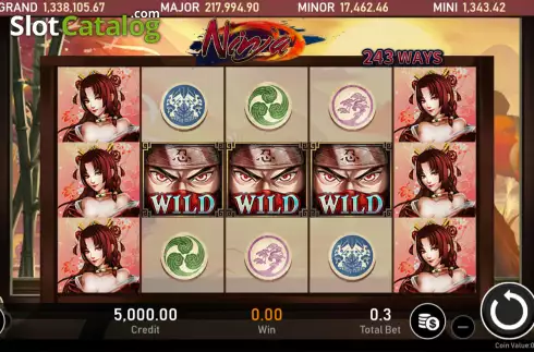 Captura de tela2. Ninja (Royal Slot Gaming) slot
