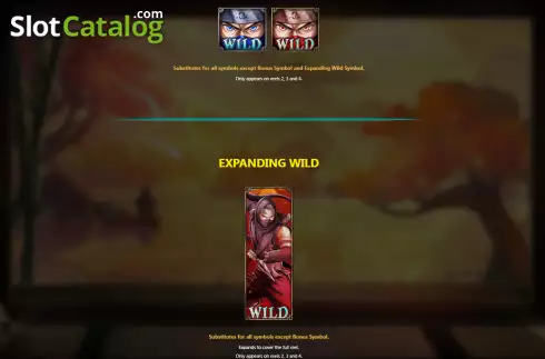 Captura de tela7. Ninja (Royal Slot Gaming) slot
