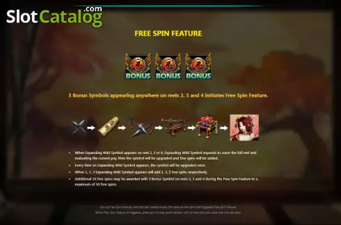 Captura de tela9. Ninja (Royal Slot Gaming) slot
