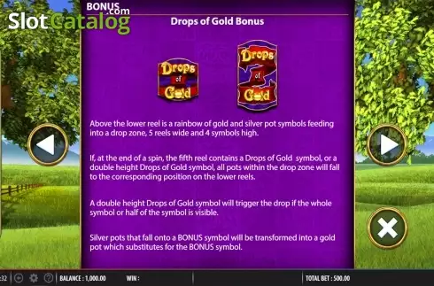 Paytable 6. Rainbow Riches Drops of Gold slot