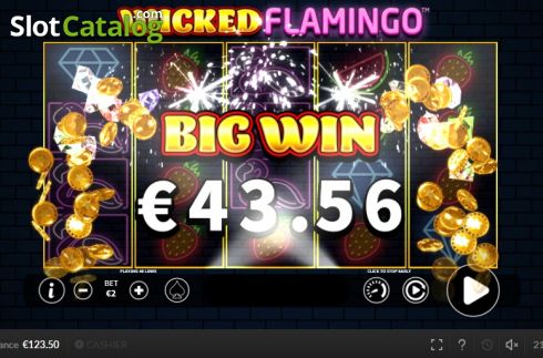 Win screen 2. Wicked Flamingo slot