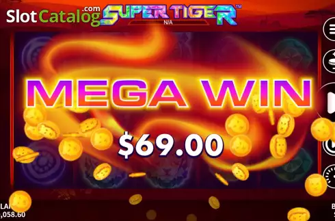 Win Screen 6. Super Tiger slot
