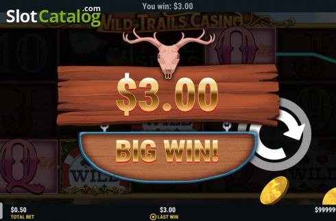 Big win screen. Wild Trails Casino slot