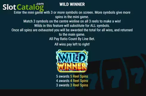 Wild winner feature screen. Super Prize Picker slot