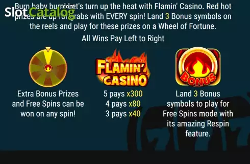 PayTable screen. Flamin Casino slot
