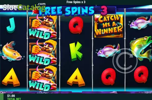 Free Spins screen 2. Catch Me A Winner slot