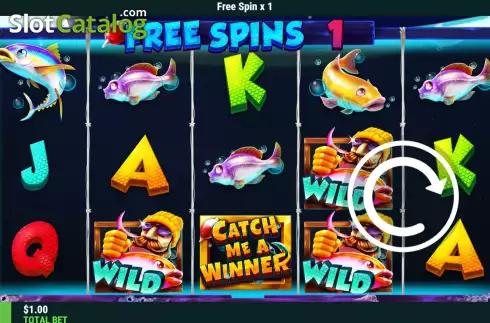 Free Spins screen 3. Catch Me A Winner slot