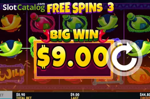 Free Spins Win Screen 4. Chilli King slot
