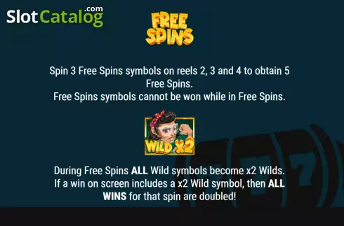 Free Spins screen. Slot Factory slot