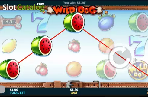 Win screen. Wild Dog slot