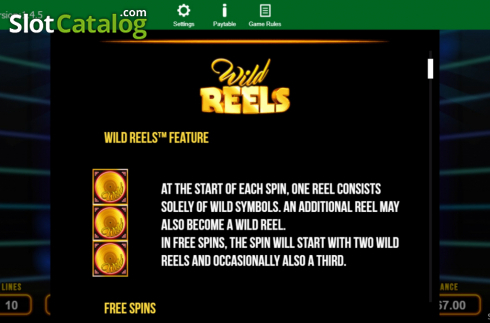 Skärmdump8. Wild Reels slot