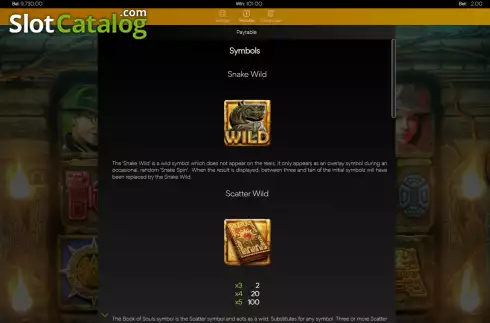 Bildschirm9. Book of Souls Remastered slot