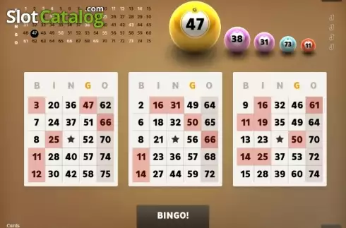 Bildschirm5. Bingo (Spigo) slot