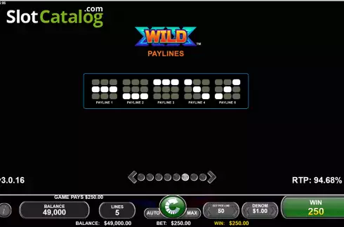 Paylines screen. X Wild X slot