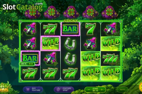 Win screen 2. Irish Wilds slot