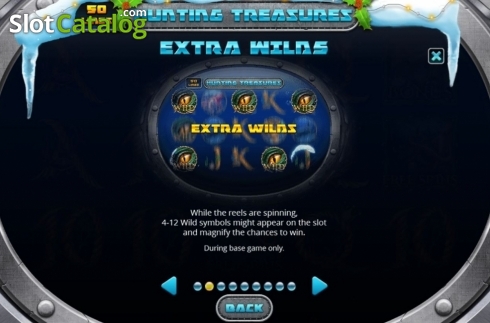 Features. Hunting Treasures Christmas Edition slot