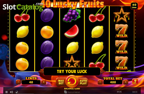 Reels screen. 40 Lucky Fruits slot
