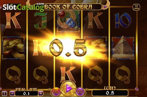Win Screen. Book of Cobra slot