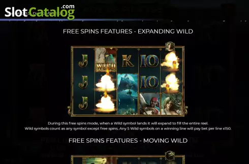 FS features - expanding wild screen. Age of Pirates 15 Lines slot