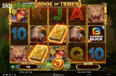 Reel screen. Casinobuck Book of Tribes slot