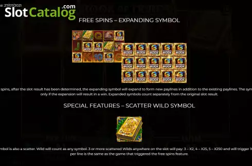 Special symbols screen. Casinobuck Book of Tribes slot