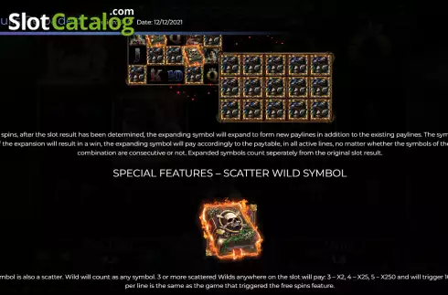 Special symbols screen. Book Of Skulls Reloaded slot