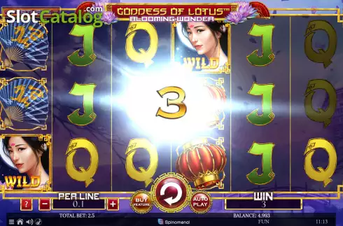 Win screen. Goddess of Lotus Blooming Wonder slot