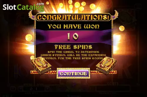 Free Spins screen. Book of Mad Money slot