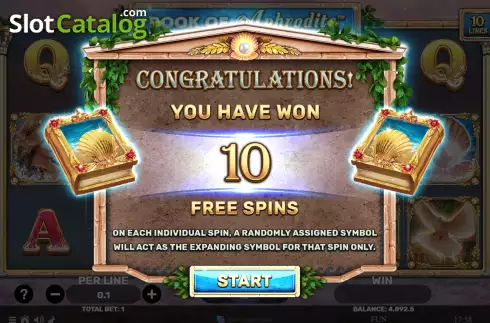 Free Spins screen. Book Of Aphrodite slot
