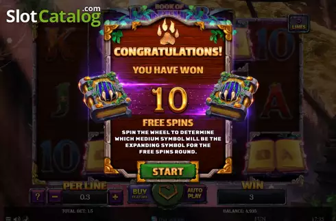 Free Spins screen. Book Of Panther Wild Dawn slot
