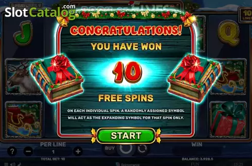 Free Spins screen. Book Of Elves slot