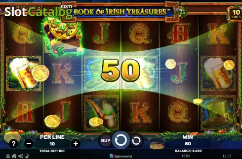 Win screen. Book of Irish Treasures slot