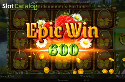 Bildschirm3. Midsummer's Fortune slot