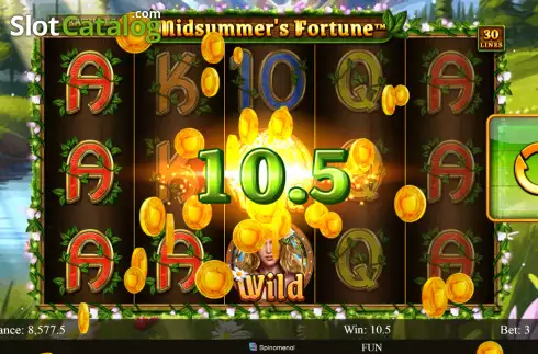 Win screen. Midsummer's Fortune slot