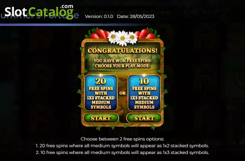 Free Spins screen. Midsummer's Fortune slot