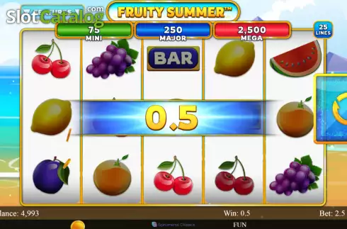 Win screen. Fruity Summer slot