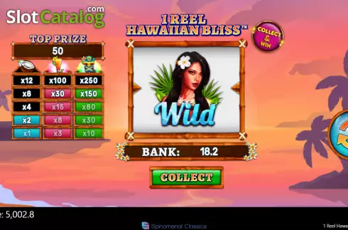 Win screen. 1 Reel Hawaiian Bliss slot
