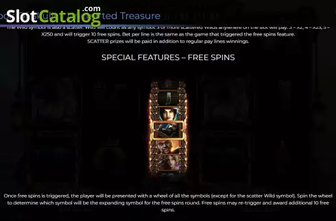 Free Spins screen. Book of Skulls - Uncharted Treasure slot