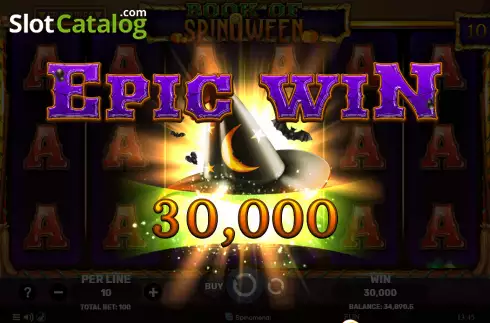 Big Win screen. Book of SpinOWeen slot