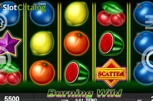 Game screen. Burning Wild (Spinthon) slot