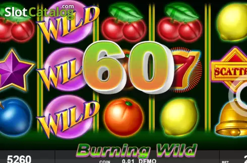 Win screen 2. Burning Wild (Spinthon) slot