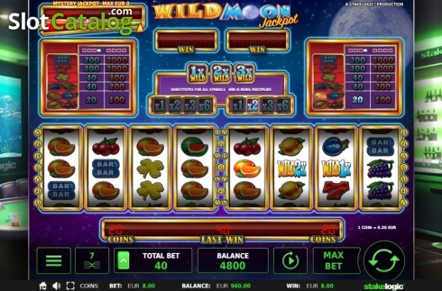 Win screen. Wild Moon Jackpot 5k slot