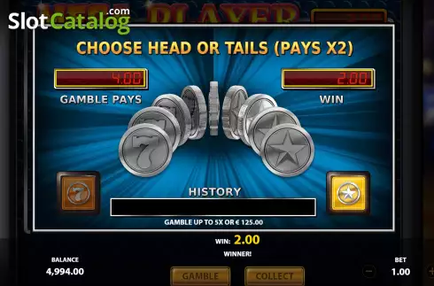 Gamble Feature Screen. Mega Player slot