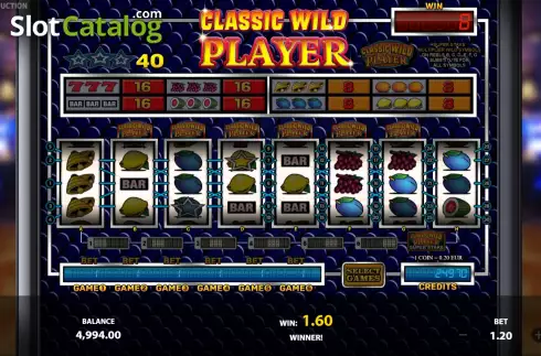 Win screen. Classic Wild Player slot