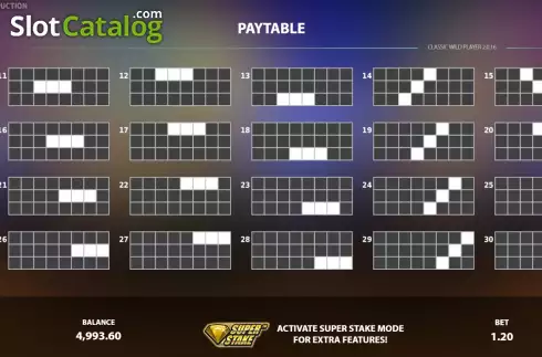 PayLines screen 2. Classic Wild Player slot