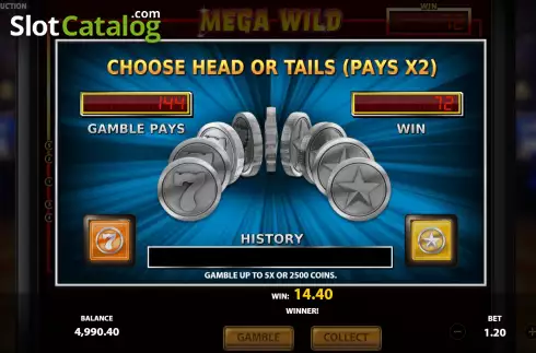 Risk Game screen. Mega Wild Player slot