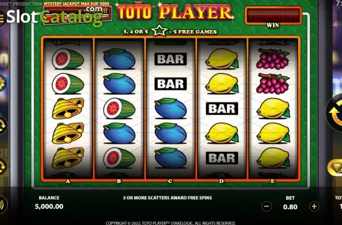 Game screen. Toto Player slot