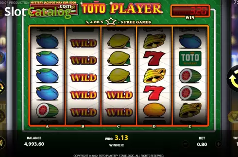 Win screen. Toto Player slot